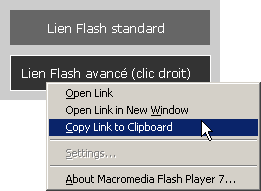Capture d'écran d'un menu contextuel d'un fichier flash permettant d'ouvrir les liens dans une nouvelle fenêtre ou copier l'url du lien